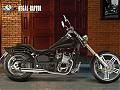 falcon - ait Kullan�c� Resmi (Avatar)