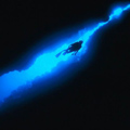BlackShark - ait Kullan�c� Resmi (Avatar)