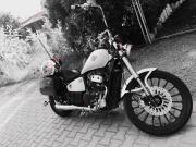 cicada - ait Kullanc Resmi (Avatar)