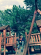 Besyocu - ait Kullan�c� Resmi (Avatar)