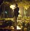 cool_RR nickli �yeye ait kullan�c� resmi (Avatar)