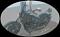 sancar nickli �yeye ait kullan�c� resmi (Avatar)